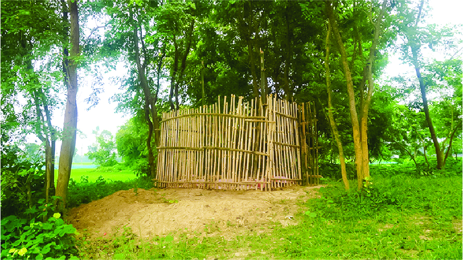 Image of মো: সুমন পাটয়ারী